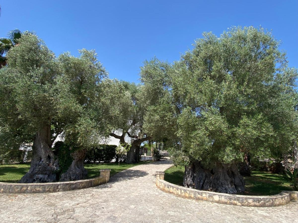 Citta Bianca Country Resort Ostuni Exterior photo